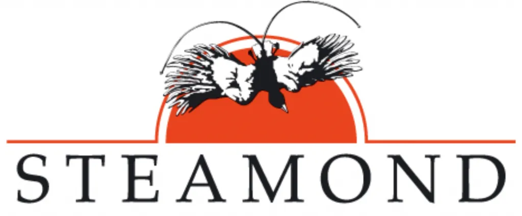 Steamond