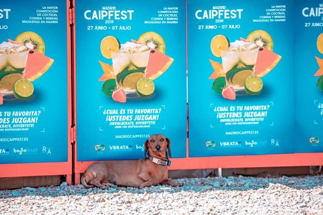 Festival della Caipirinha di Madrid