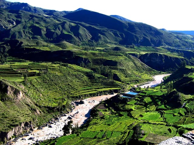 Promoción turística de Bossa — Perú