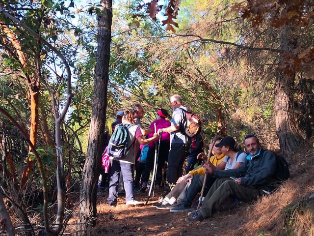 Promoción turística de Bossa — FAM Tours