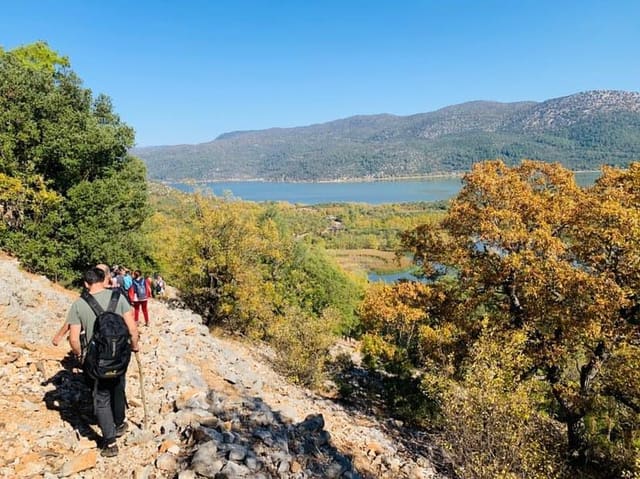 Promoción turística de Bossa — FAM Tours